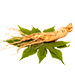 component