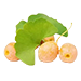 component